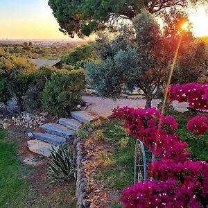 Oasis Camp Portugal Campismo de Luxo